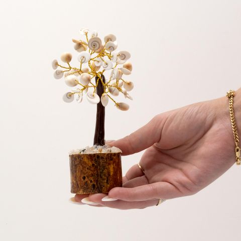 Gomati Chakra Circle Stone Tree Medium ( 45 stones )