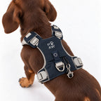 Dog Step-In Guardian Harness with Reflective Mesh & Black Obsidian Charm - Rock Grey - Extra Small (2-4kg)