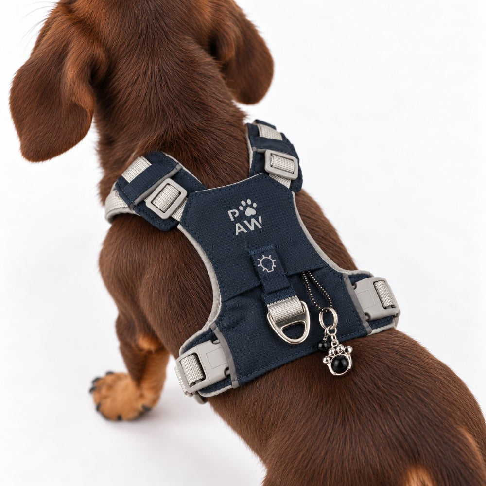 Dog Step-In Guardian Harness with Reflective Mesh & Black Obsidian Charm - Rock Grey - Extra Small (2-4kg)