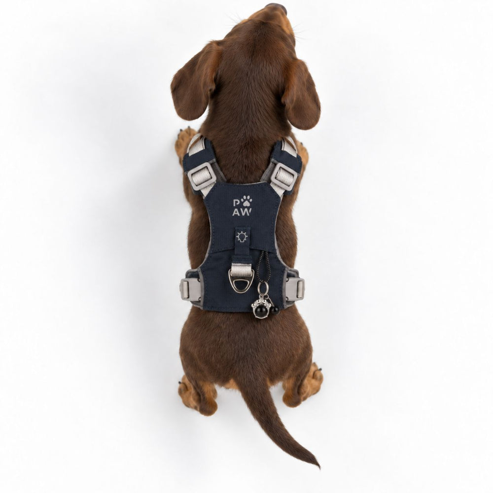 Dog Step-In Guardian Harness with Reflective Mesh & Black Obsidian Charm - Rock Grey - Extra Small (2-4kg)
