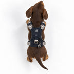 Dog Step-In Guardian Harness with Reflective Mesh & Black Obsidian Charm - Rock Grey - Extra Small (2-4kg)