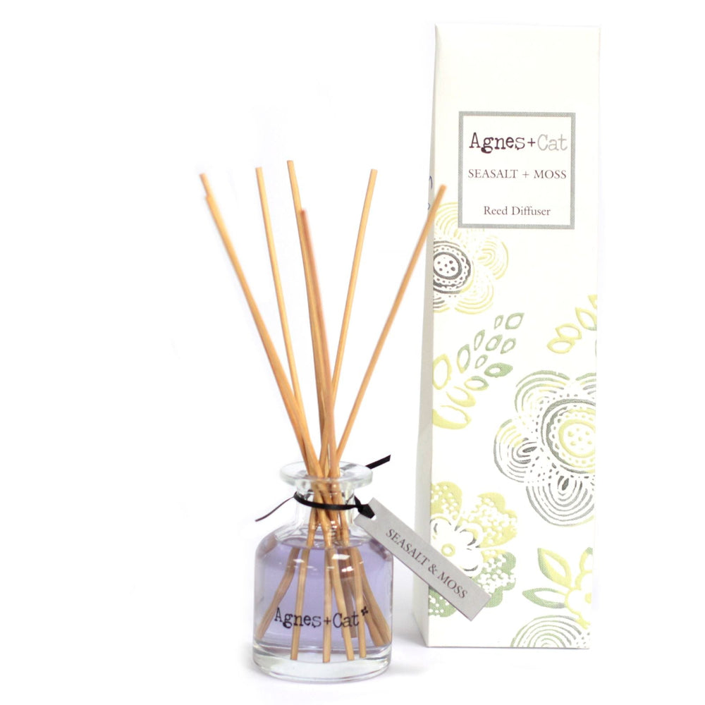 Reed diffuser set with wooden sticks and packaging labeled 'Agnes Cat' on a white background