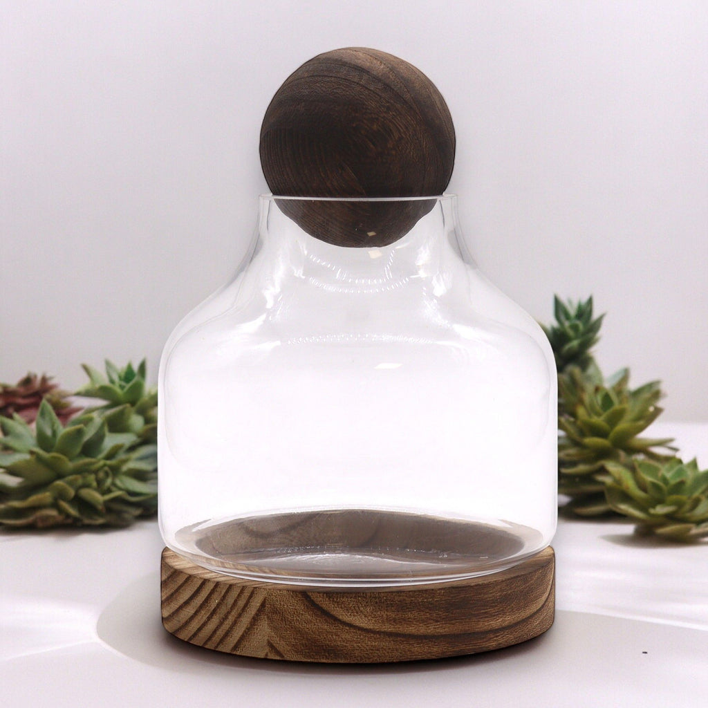 Apothecary Ball Terrarium on Dark Tung Wood Stand — Medium