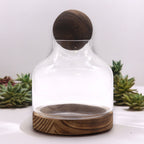 Apothecary Ball Terrarium on Dark Tung Wood Stand — Medium