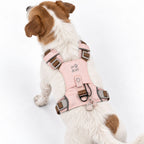 Dog Step-In Guardian Harness with Reflective Mesh & Rose Quartz Charm - Soft Pink - Small (4-8kg)