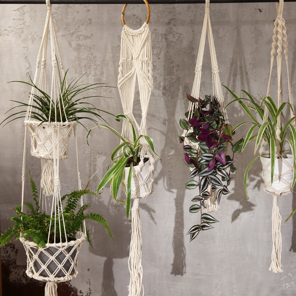 Long Macrame Pot Holder With Ratten Hoop