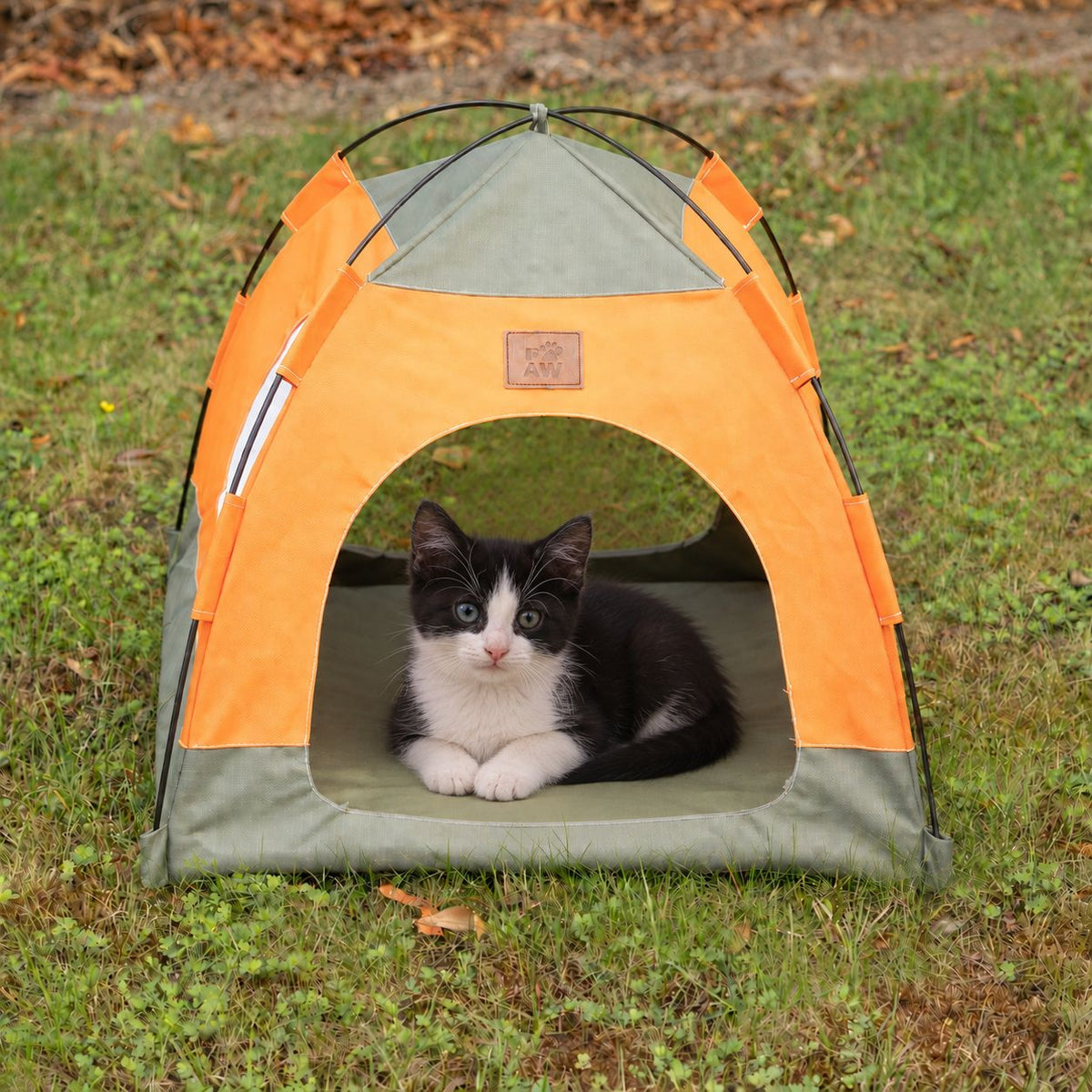Tent Pet Bed for Cats & Very Small Dogs - Green & Orange (48 × 48 × 40cm)