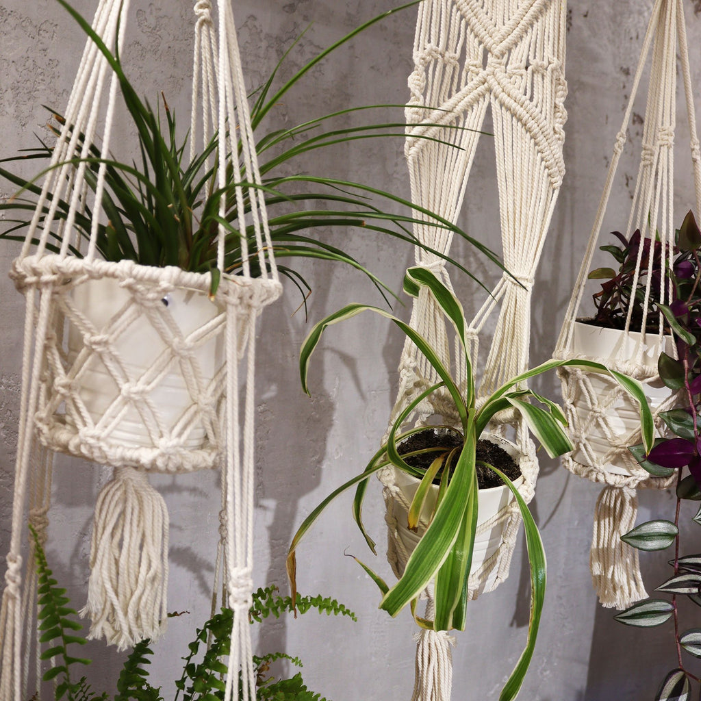 Long Macrame Pot Holder With Ratten Hoop