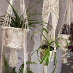 Long Macrame Pot Holder With Ratten Hoop