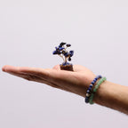 Hand holding a small plant on a plain background