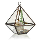 Geometric Crystal Display Terrarium