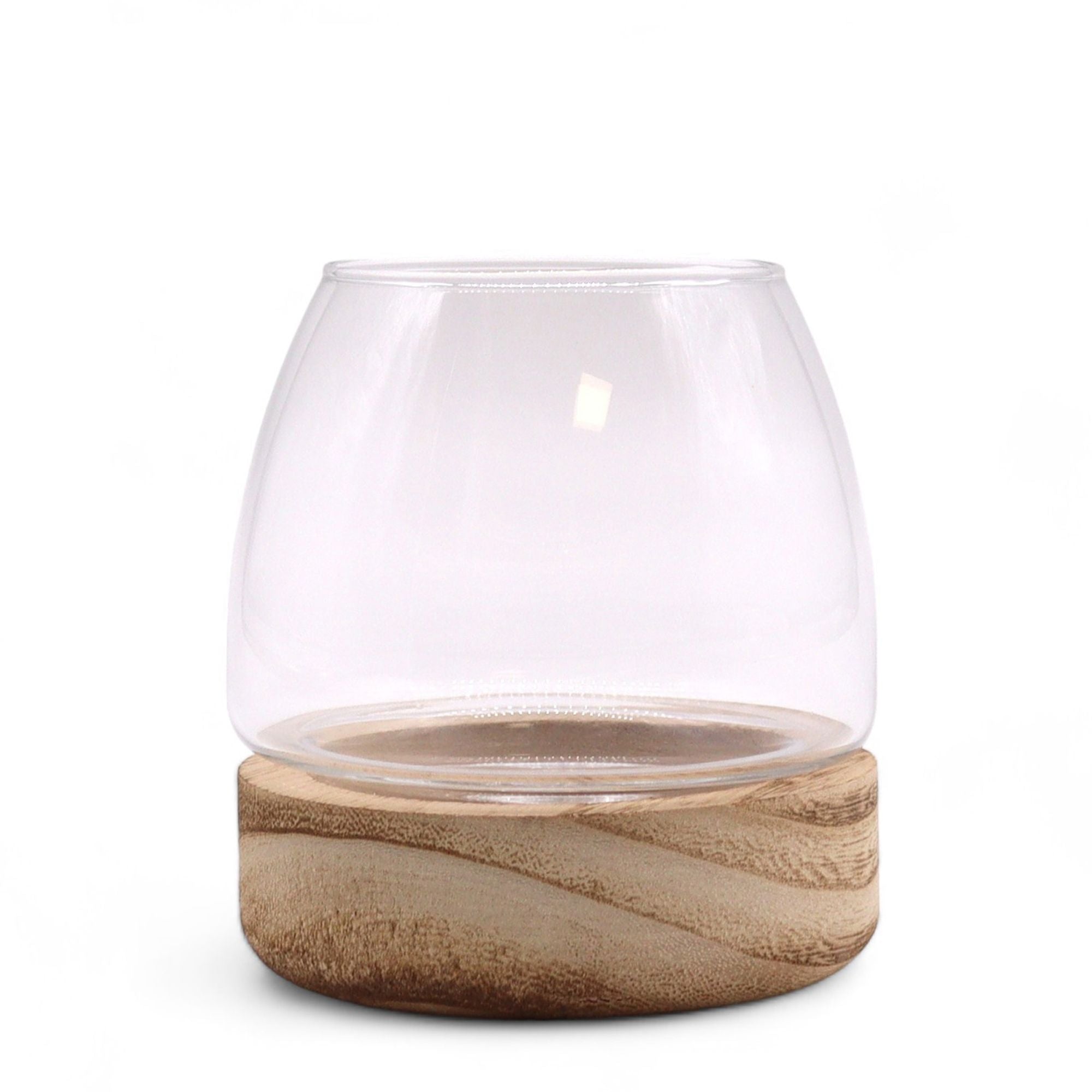 Mini Crystal Sanctuary Terrarium on Tung Wood Stand