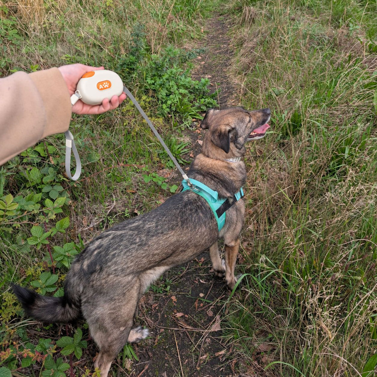 White Paw Pet Leash Pocket Pod  - 1.5m