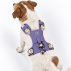 Dog Step-In Guardian Harness with Reflective Mesh & Amethyst Charm - Lavender - Small (4-8kg)