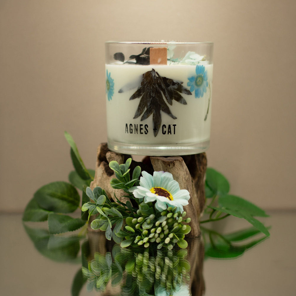 Agnes + Cat — Botanical Soy Wax Candle — Sea Salt & Moss