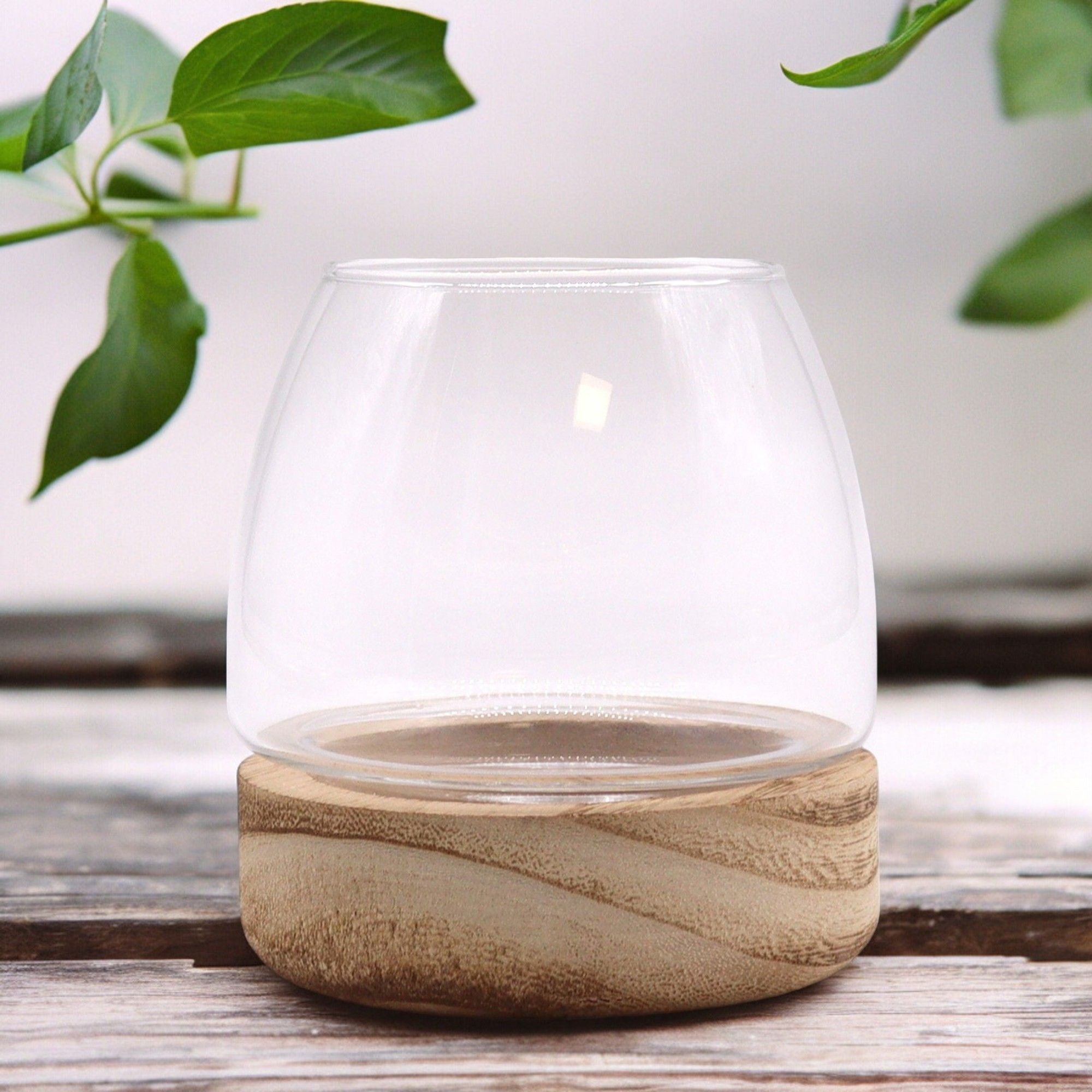Mini Crystal Sanctuary Terrarium on Tung Wood Stand