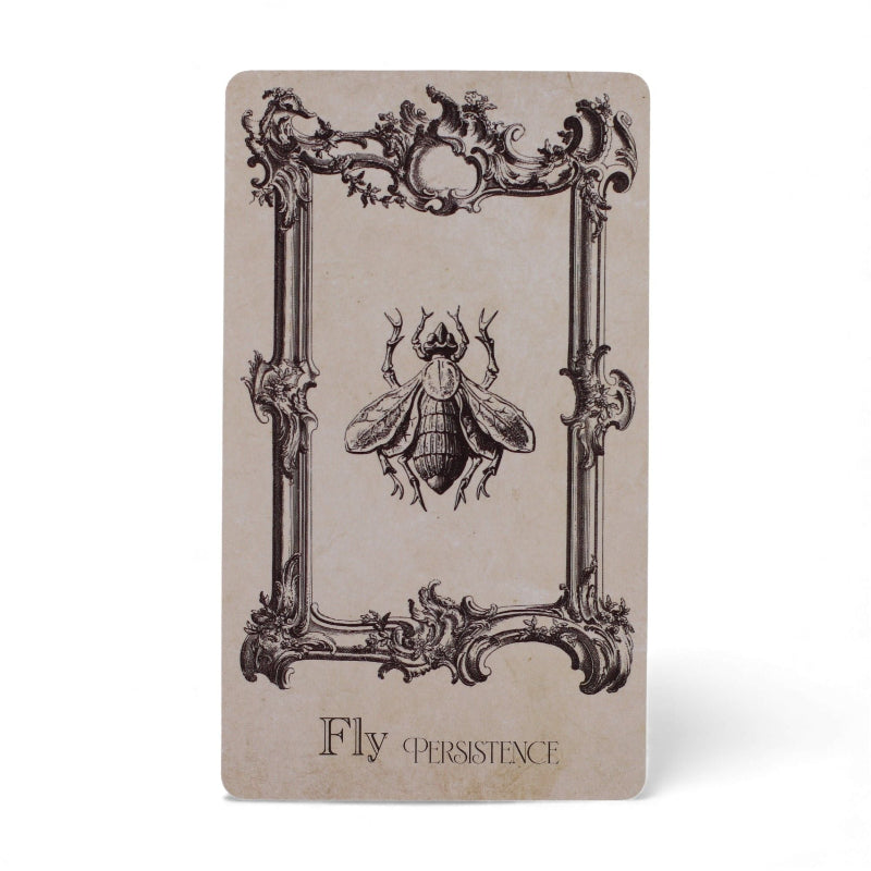 Witchcraft Deck The Spellbook Oracle Cards