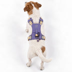 Dog Step-In Guardian Harness with Reflective Mesh & Amethyst Charm - Lavender - Small (4-8kg)