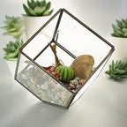 Geometric Crystal Display Terrarium — Cube on Corner