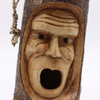 The Old Man of the Woods — Tree Trunk Bird House