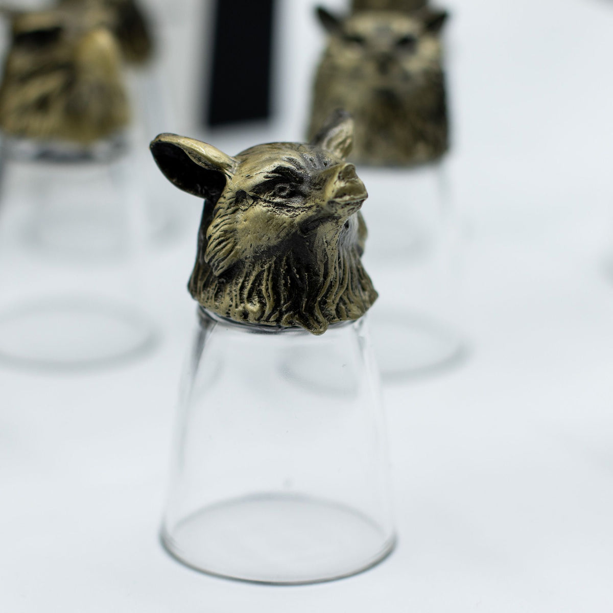 Forest & Mystical Creatures Shot Glass Gift Set - 12 x 25ml