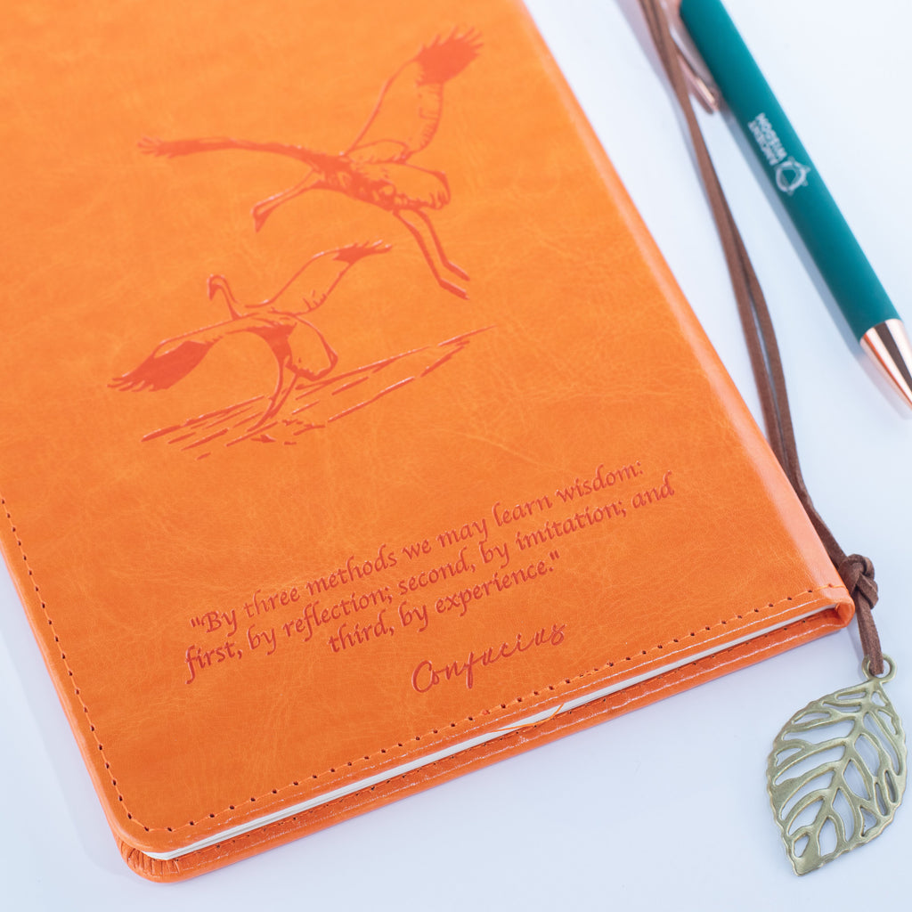 Write & Release Orange A5 LCD Notebook