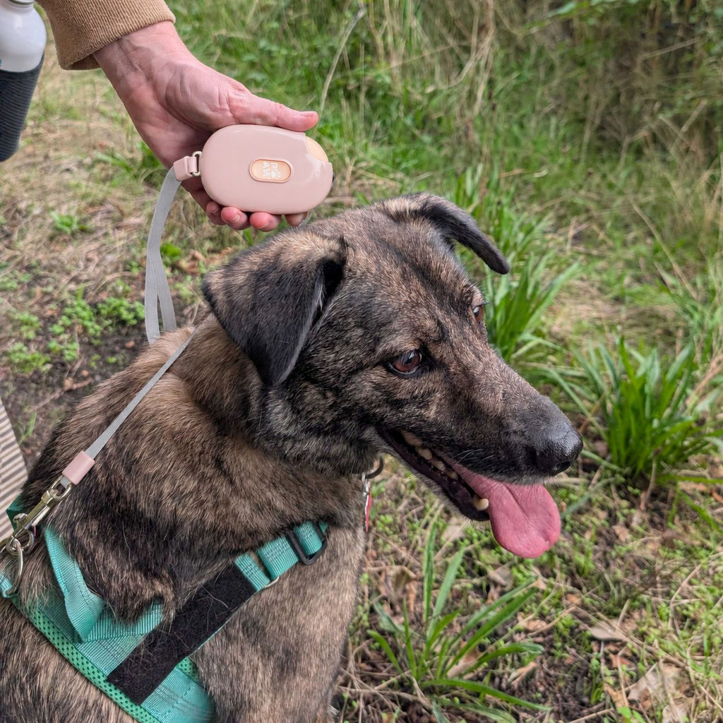 Pocket Pod Retractable Dog Lead - Pink - 1.5m (Up to 25kg)