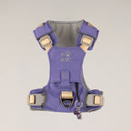 PAW XS Step-in Dog Harness - Lavender & Amethyst Charm