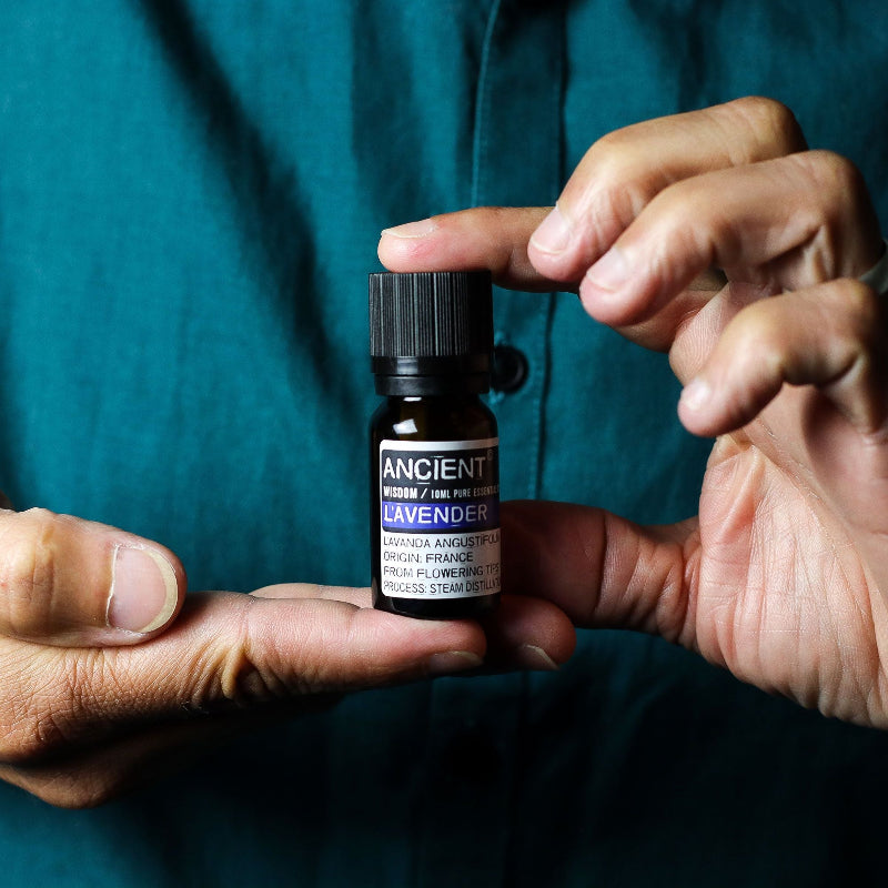 Set of Lavender, Tea Tree & Rosemary Essential Oils  10ml