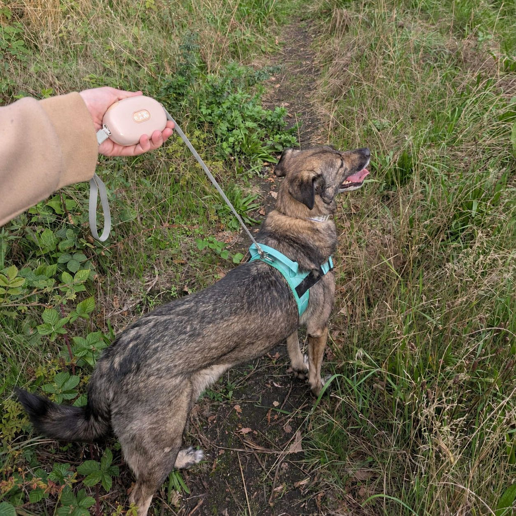 Pocket Pod Retractable Dog Lead - Pink - 1.5m (Up to 25kg)