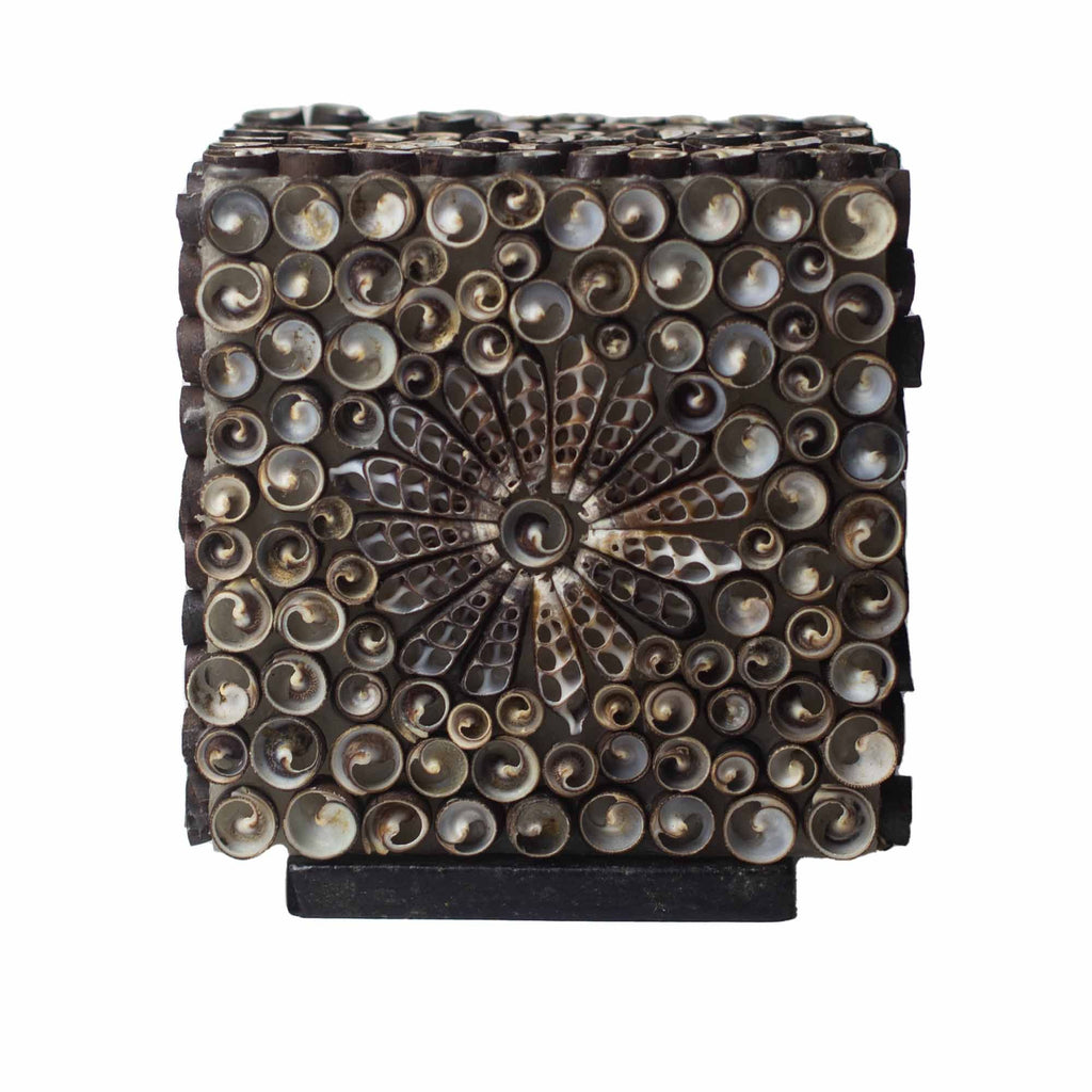 The Shell Lamp | Chocolate Twist Square