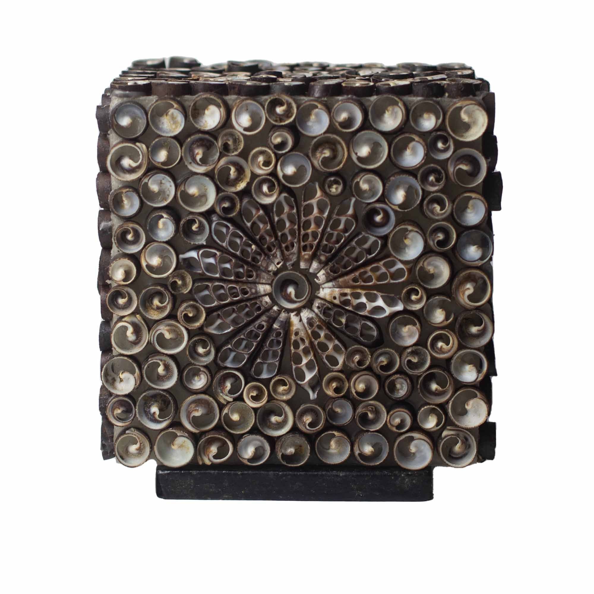 The Shell Lamp | Chocolate Twist Square
