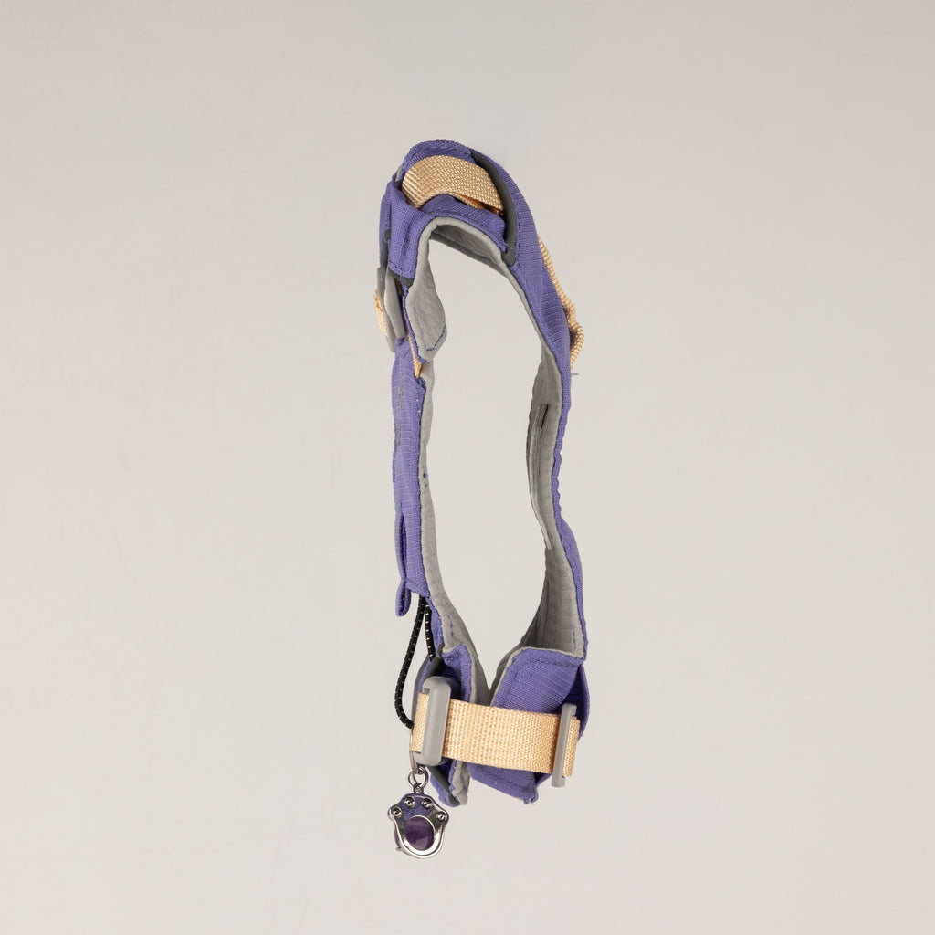 PAW XS Step-in Dog Harness - Lavender & Amethyst Charm