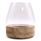Crystal Sanctuary Terrarium on Tung Wood Stand — Large