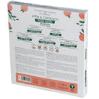 Plant Based Backflow Incense Cones - Apple & Cinnamon | Pack of 12