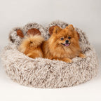 A fluffy orange Pomeranian dog lying inside a round, shaggy beige pet bed on a light gray studio background.