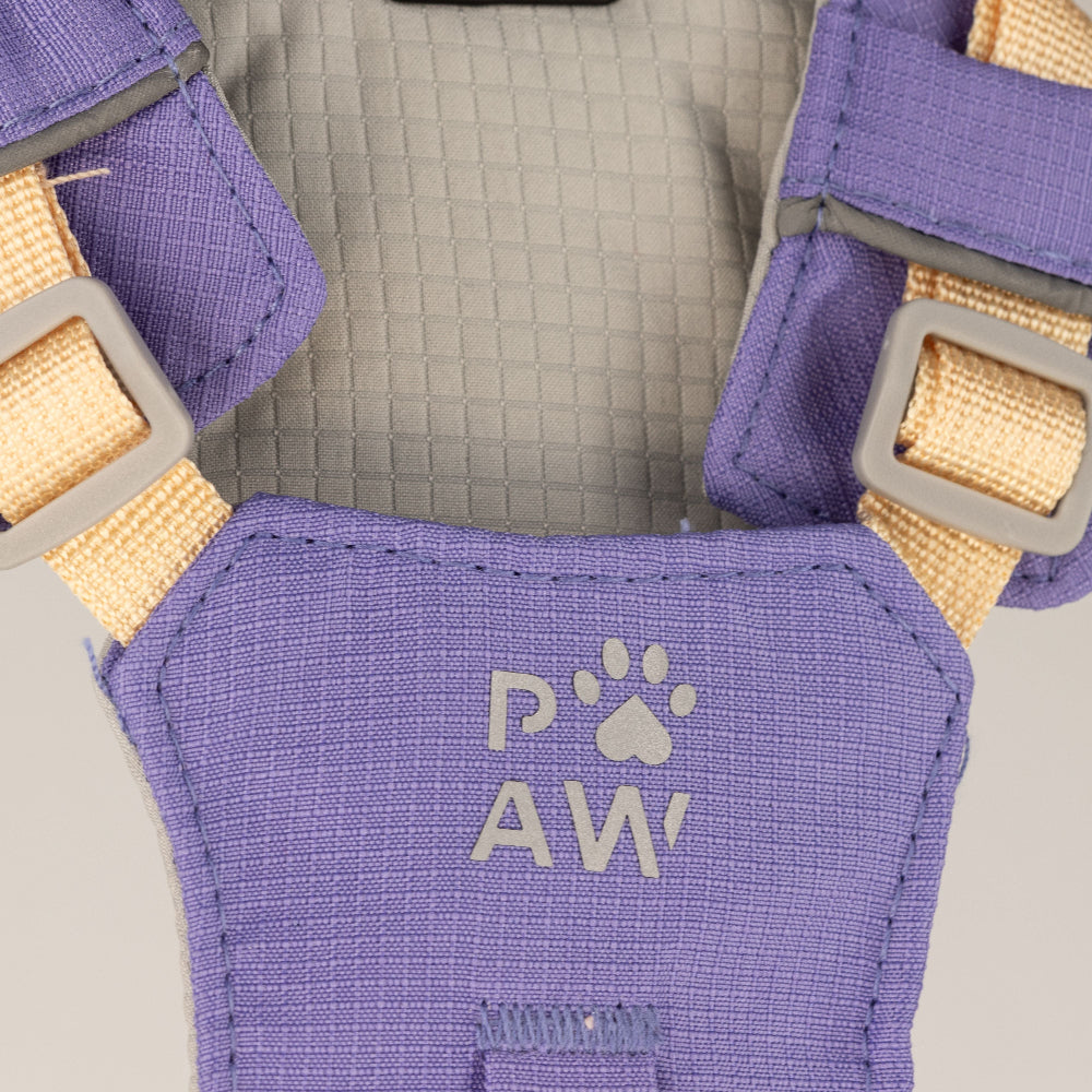 PAW XS Step-in Dog Harness - Lavender & Amethyst Charm