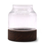 Crystal Sanctuary Terrarium on Dark Tung Wood Stand — Small