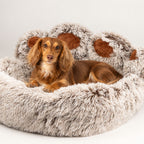 Paw-Shaped Plush Pet Bed for Cats & Small Dogs - Large (70cm)