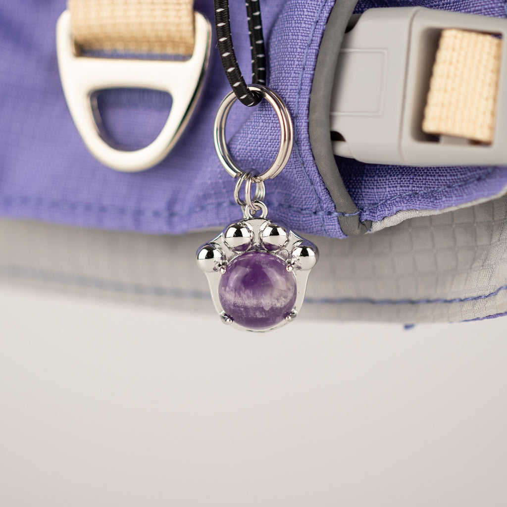 PAW XS Step-in Dog Harness - Lavender & Amethyst Charm