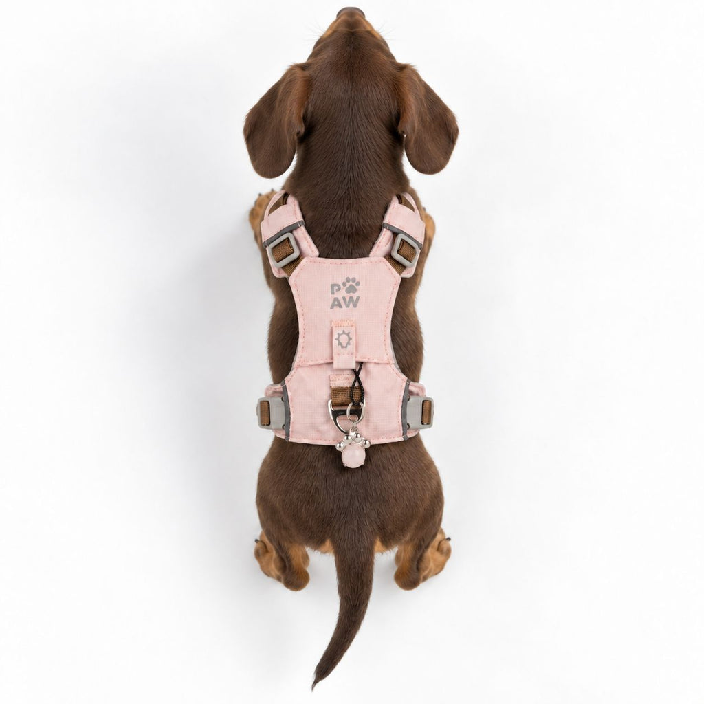 Dog Step-In Guardian Harness with Reflective Mesh & Rose Quartz Charm - Soft Pink - Extra Small (2-4kg)