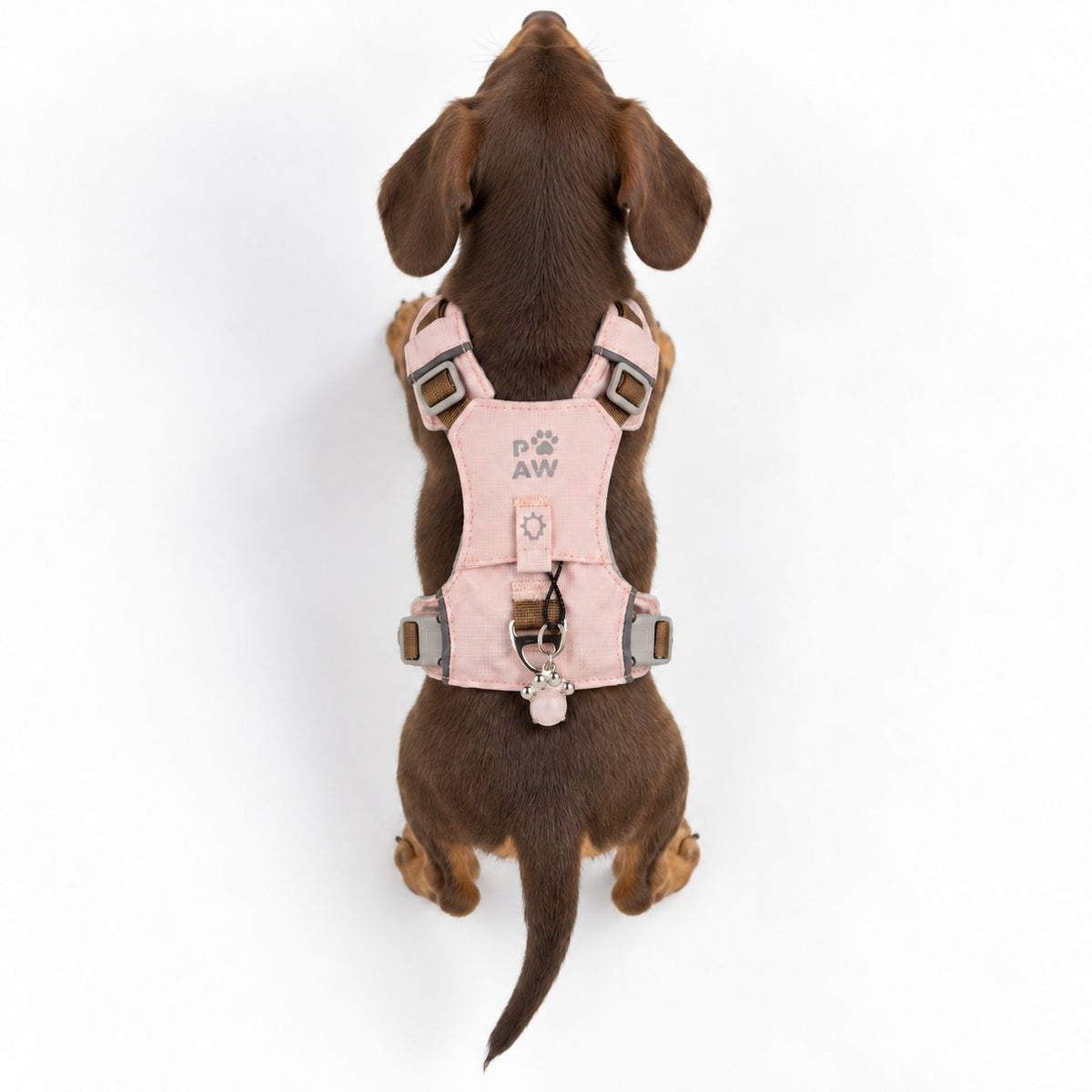 Dog Step-In Guardian Harness with Reflective Mesh & Rose Quartz Charm - Soft Pink - Extra Small (2-4kg)