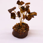 Tigereye (15 stones) Mini Gemstone Tree On Wood Base