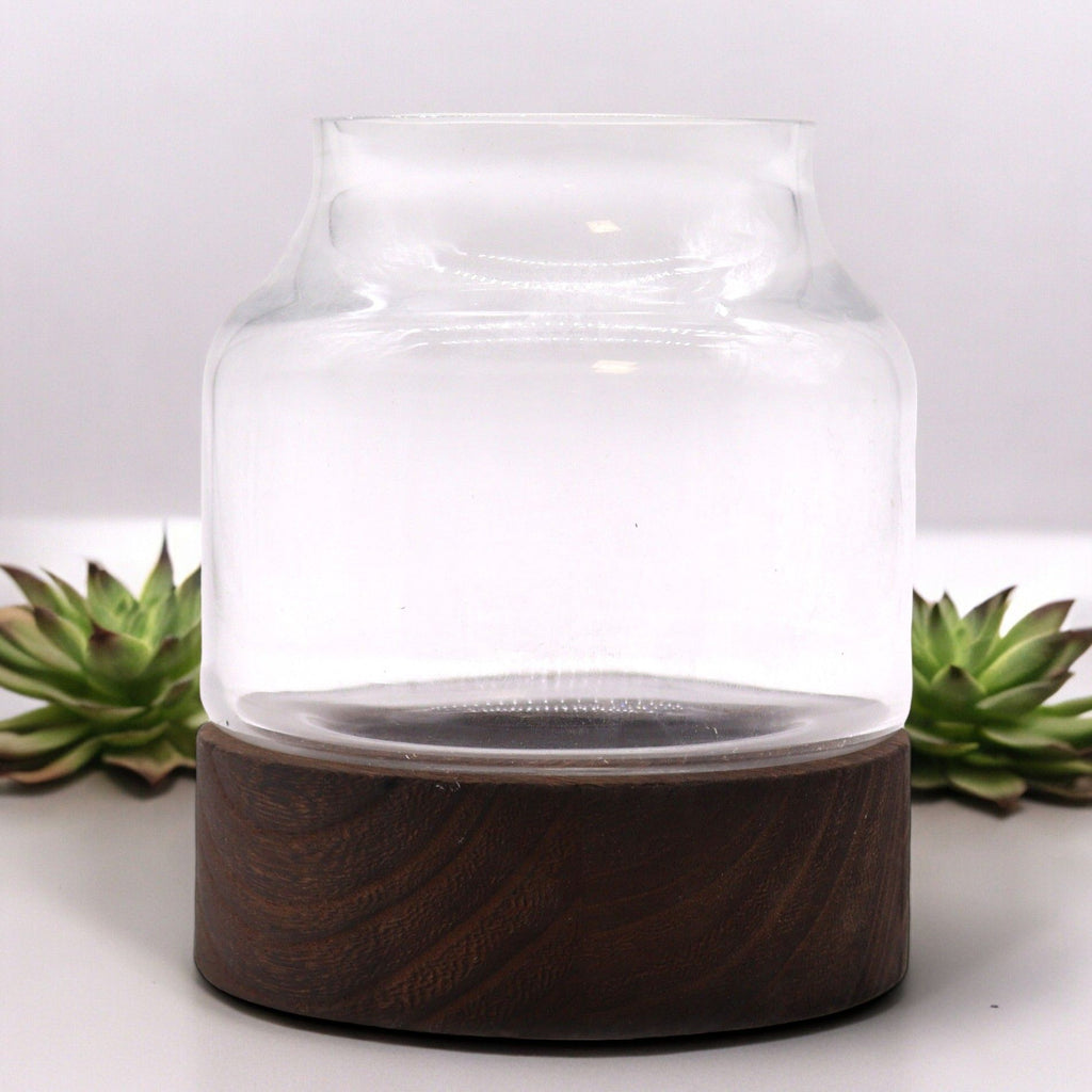 Crystal Sanctuary Terrarium on Dark Tung Wood Stand — Small