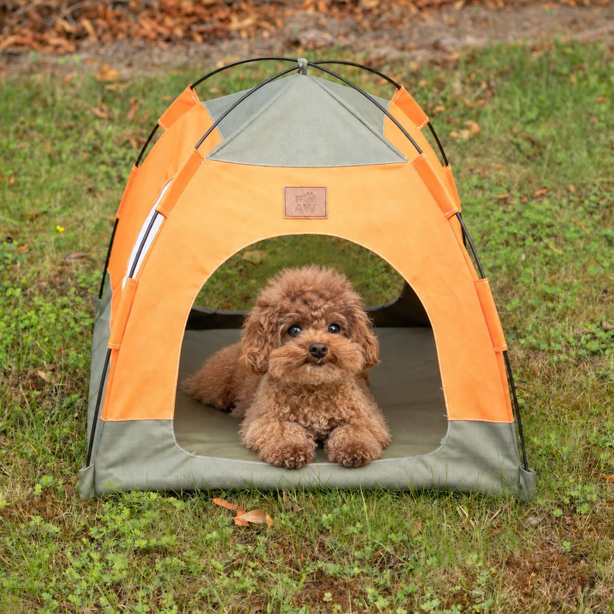Tent Pet Bed for Cats & Very Small Dogs - Green & Orange (48 × 48 × 40cm)