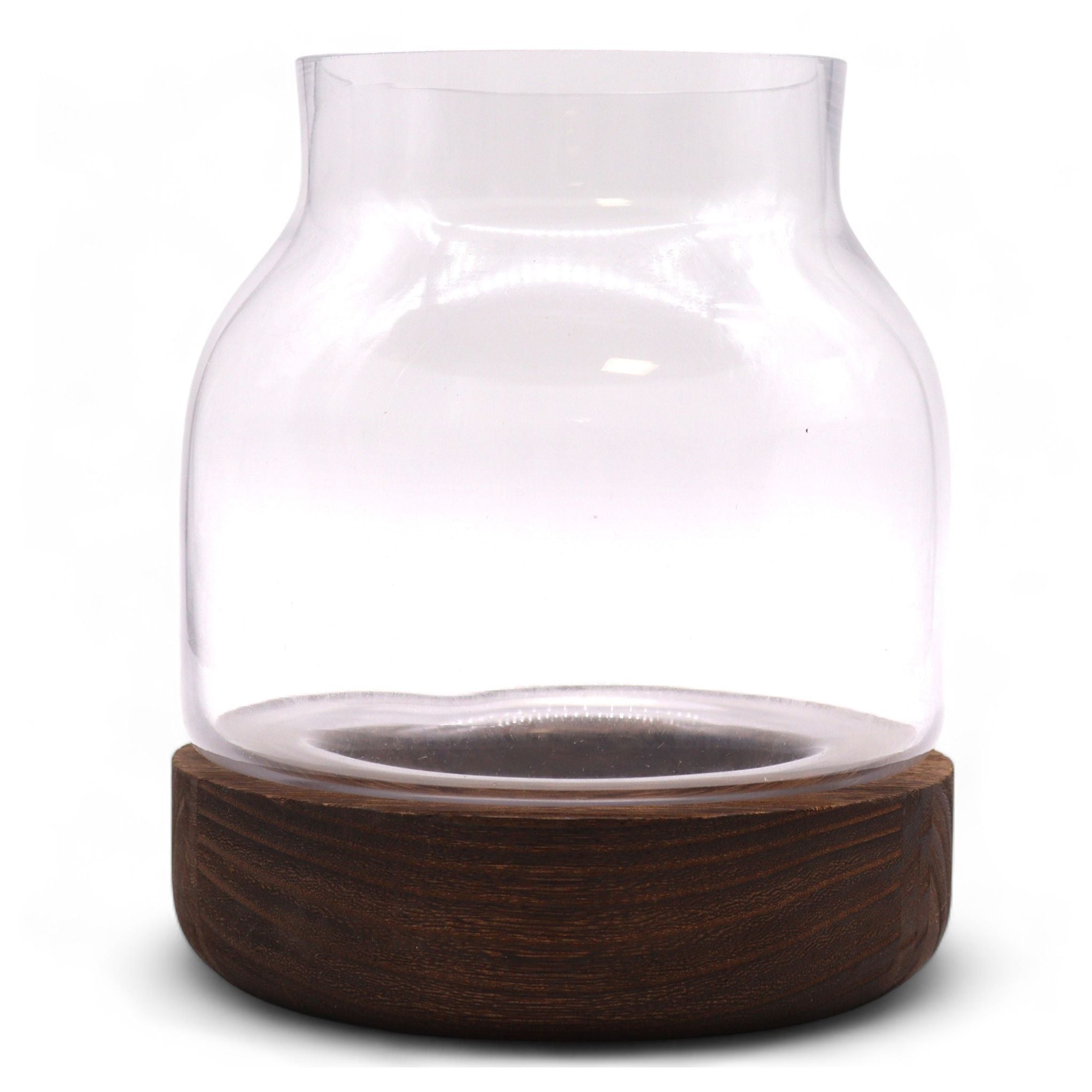 Crystal Sanctuary Terrarium on Dark Tung Wood Stand — Medium