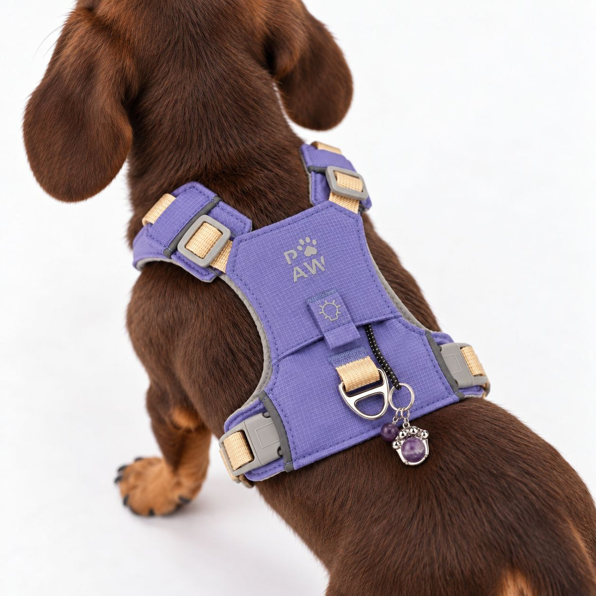 PAW XS Step-in Dog Harness - Lavender & Amethyst Charm