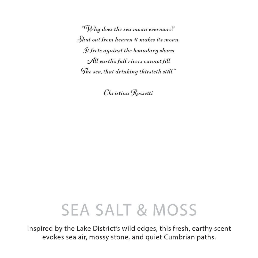 Agnes + Cat — Botanical Soy Wax Candle — Sea Salt & Moss