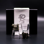 Wild Forest Creatures Shot Glass Gift Set - 6 x 50ml