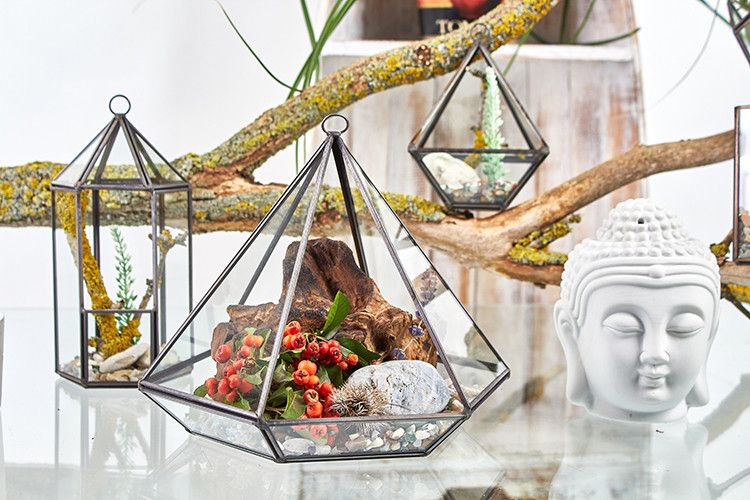Geometric Crystal Display Terrarium — Large Diamond Brass Frame